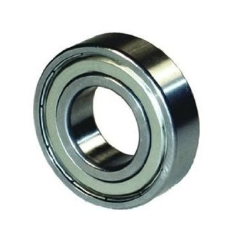 6307 Z BEARING TATA